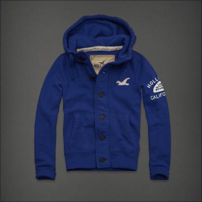 Hollister Men Hoodies-12